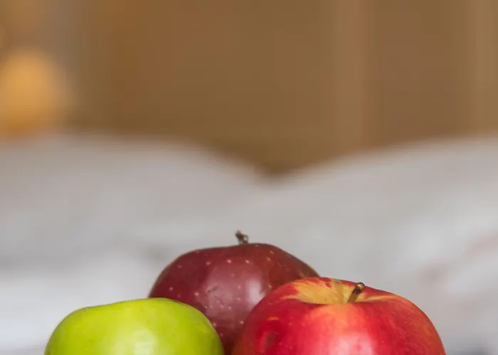 Maison - Mgallery Otel